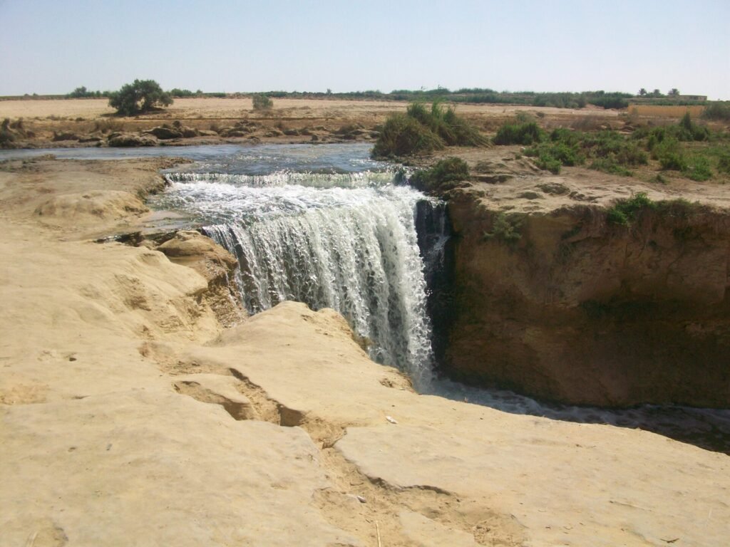 Day Tour to El Fayoum Oasis and sightseeing from Cairo4