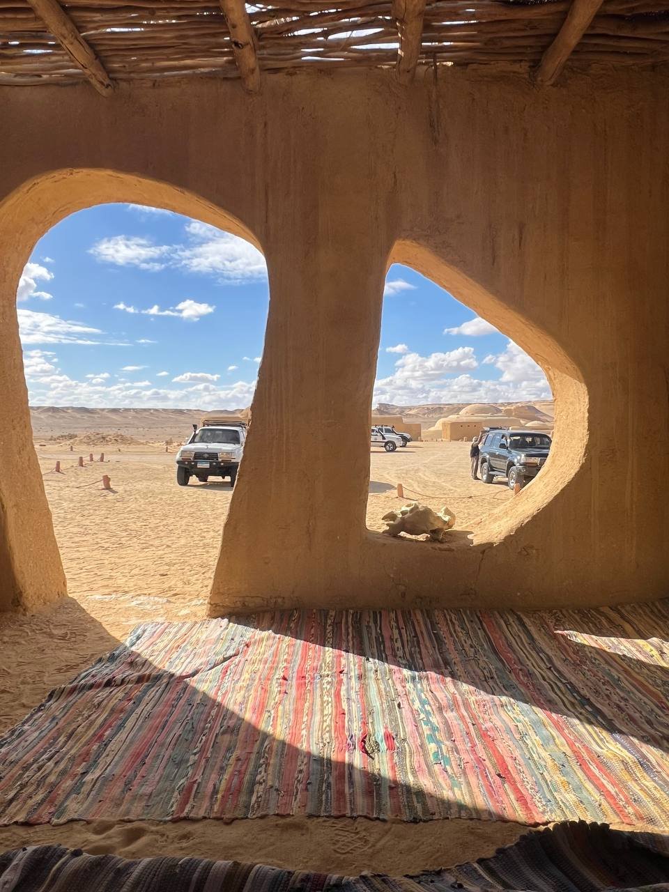 photo_5807895266211251816_y