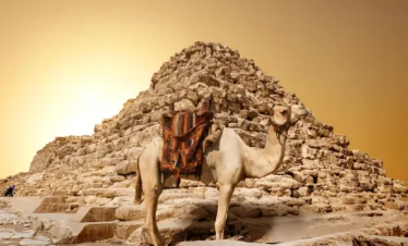 Giza pyramids camel ride