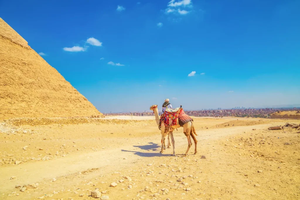 Giza pyramids camel ride