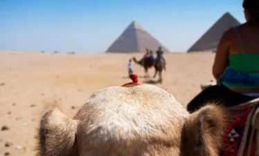 Giza pyramids camel ride
