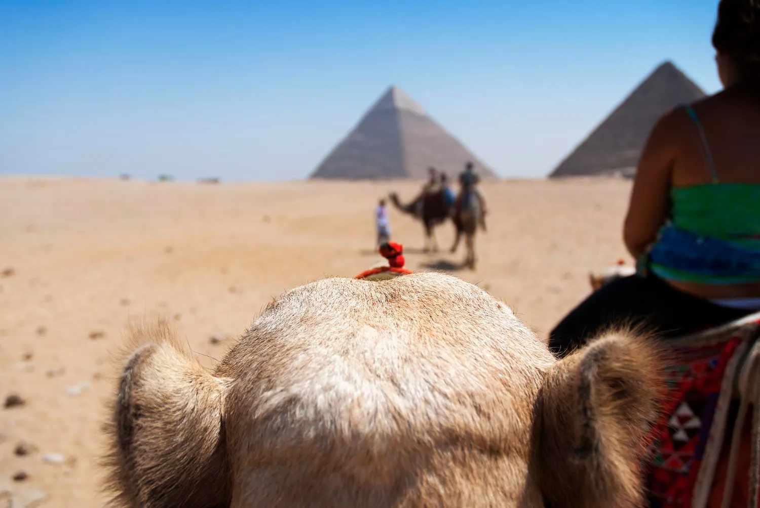 Giza pyramids camel ride