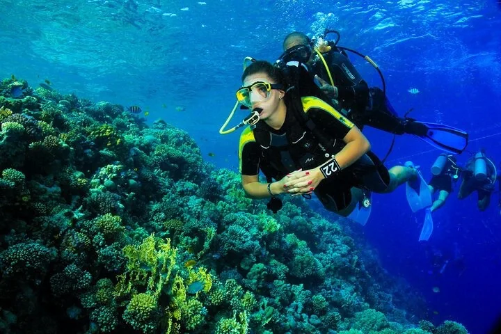 Diver exploring the coral reefs of the Red Sea