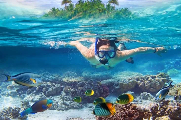 Sharm El Naga Reserve Trip