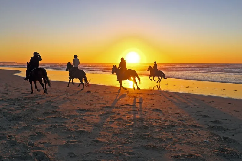 Horse Riding in Hurghada