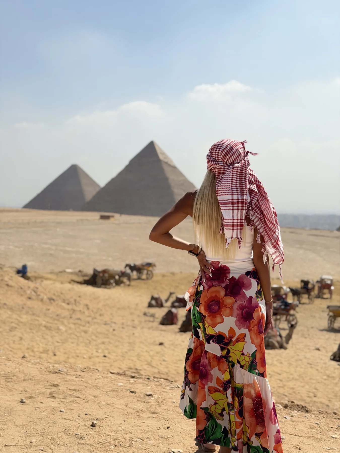 Traveler overlooking the pyramids from the Giza Plateau